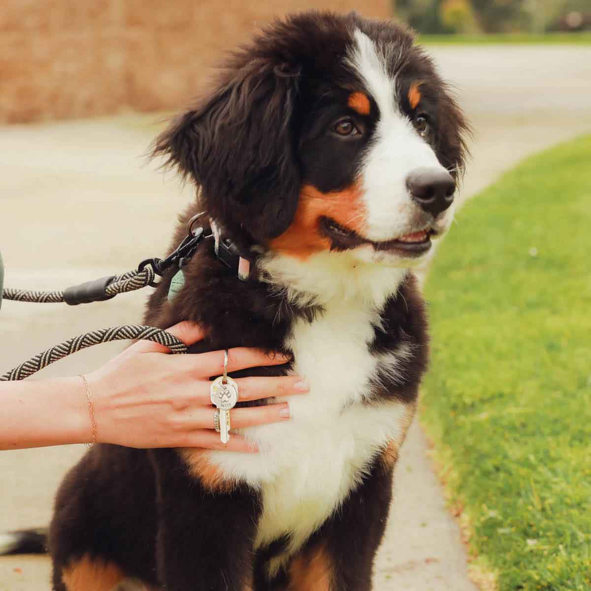 handcrafted in sterling silver