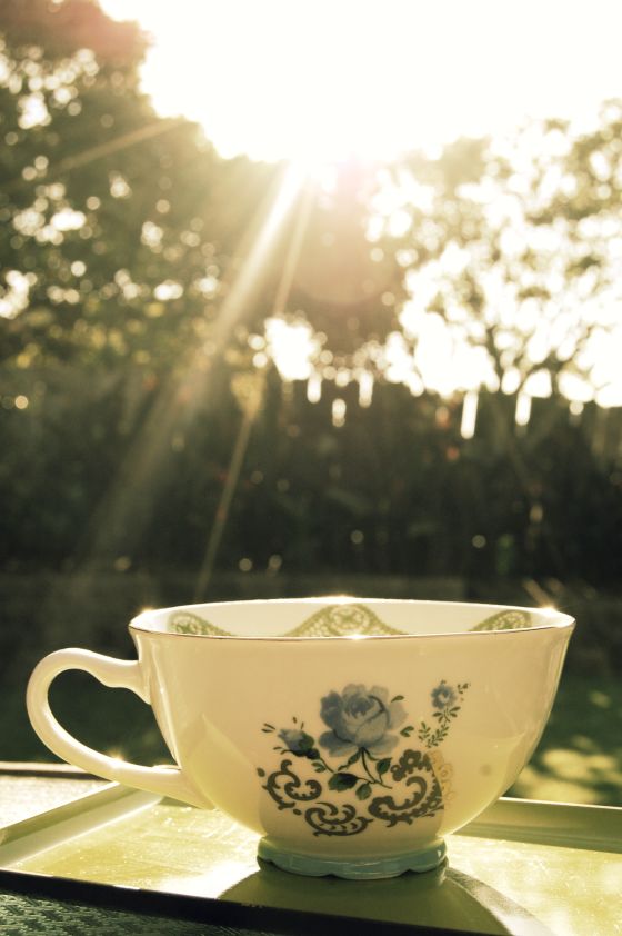 teacup-in-the-sunlight
