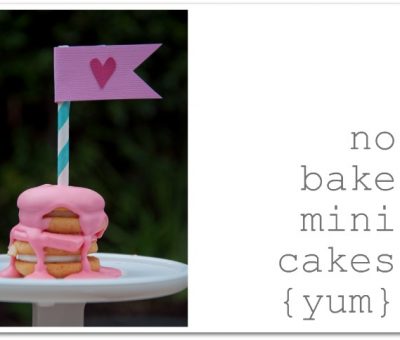 no_bake_mini_cakes2