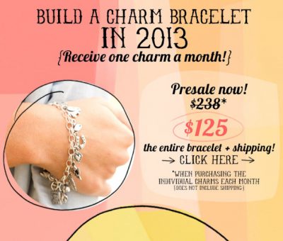 offering one charm every month! {our {brand new} charm bracelet!}