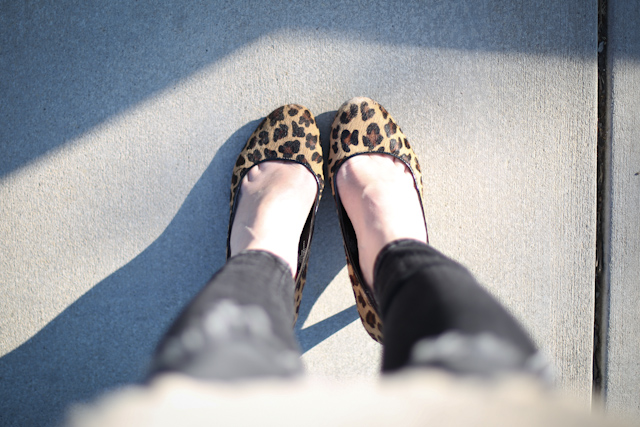 nerdiness and leopard print heels