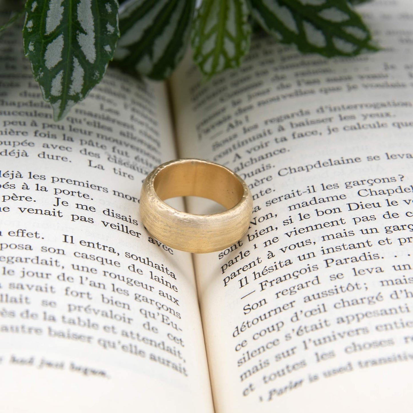 Collide With The Sky Ring (Textured 14K Solid Gold)