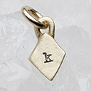 Wild About You Diamond Charm (14K Solid Gold)