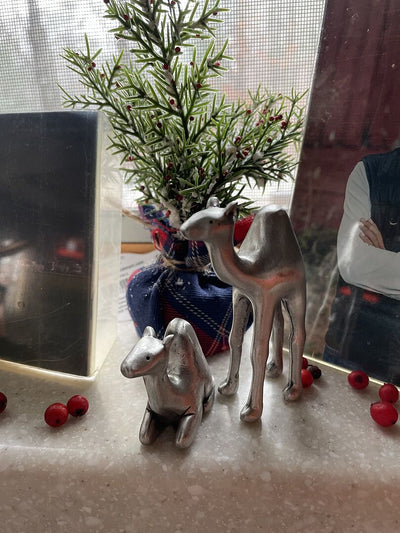 Two Wise Camels Nativity Figurine Set customer photo
