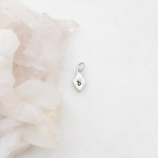 Wild About You Diamond Charm (Sterling Silver)