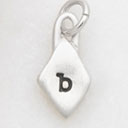 Wild About You Diamond Charm (Sterling Silver)