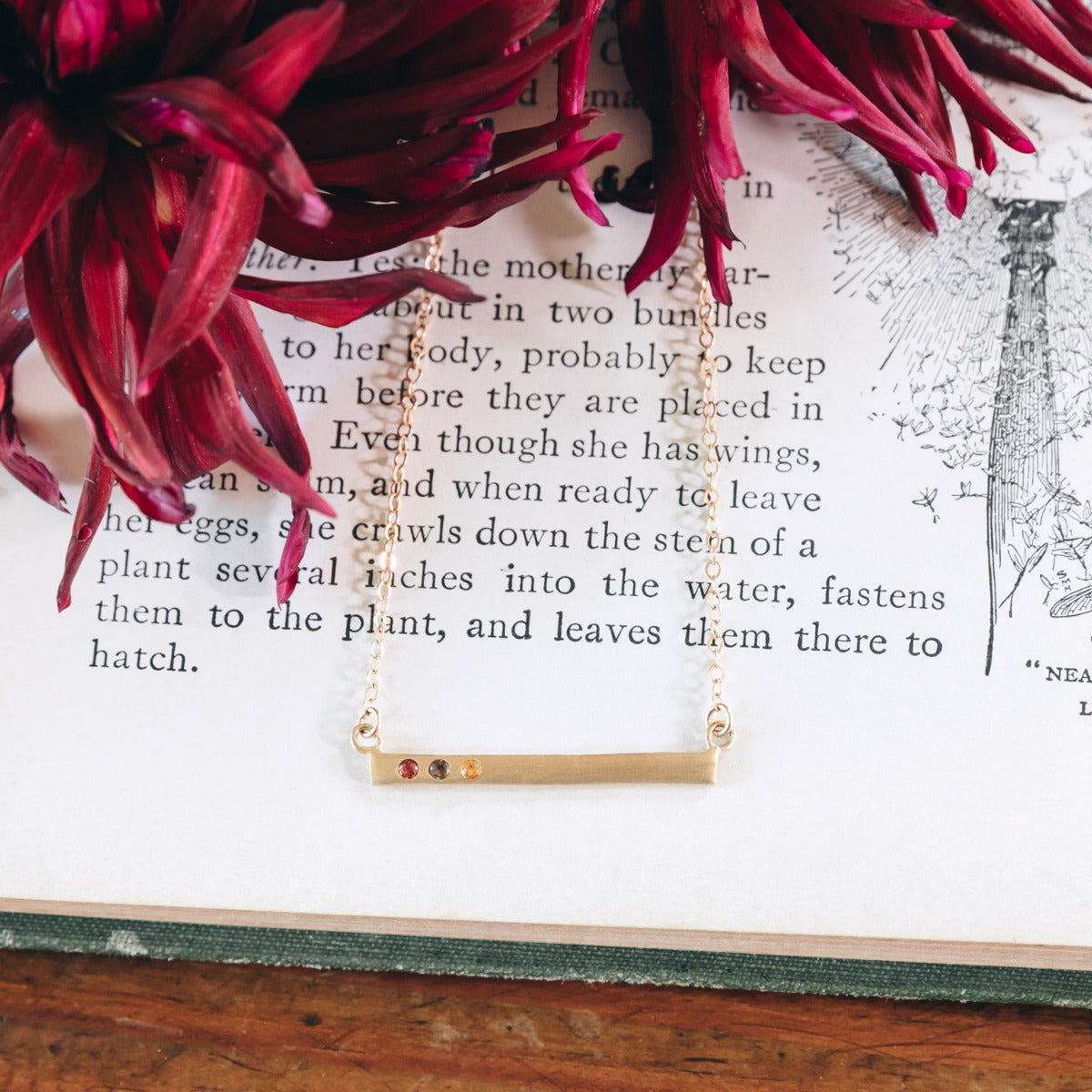 Cross Bar Birthstone Necklace (Gold Vermeil)