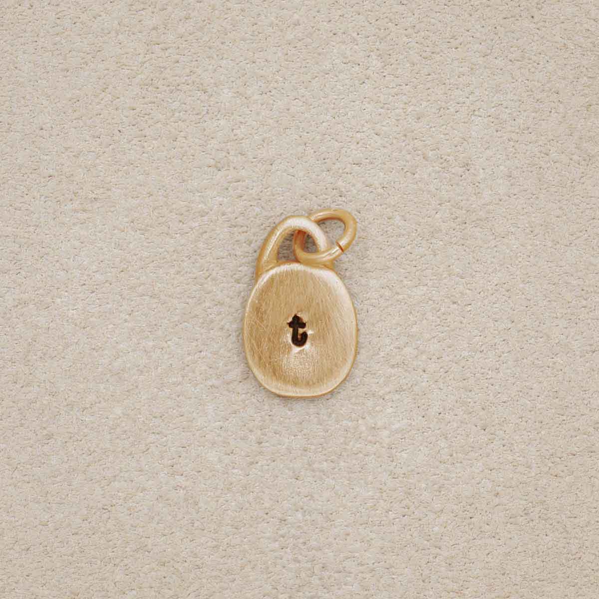 Wild About You Circle Charm (14K Solid Gold) - Lisa Leonard Designs
